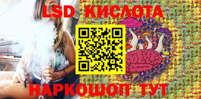 СК Сланцы